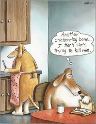 Dog Eats Chicken Bone Funny Cartoons Dog Ate Chicken Bones Gary Larson Cartoons