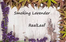 Pin On Tobacco Free Herbal Smoke