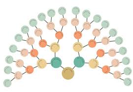 Modern Fan Chart Family Tree Id2