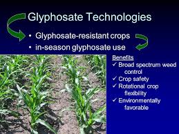 Maybe you would like to learn more about one of these? It S Time For Glyphosate Stewardship Can Psep Help Chris Boerboom Extension Weed Scientist University Of Wisconsin Madison Ppt Download