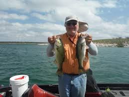 Made from soft plastic and impregnated with garlic, the no matter how the magic shad is rigged, weightless, texas, carolina, drop shot, wacky, nail or on a jighead, the live magic shad draw thunderous strikes. Lake Fork Trophy Lures Live Magic Shad Bass Pro Shops