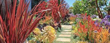 It's a great starting point for any southern california landscaping project. Ca Friendly Design Ideas Roger S Gardens