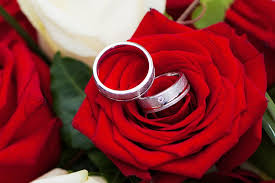 Love symbol flowers free stock photos download for commercial use in hd high resolution jpg images format. Two Silver Colored Rings Red Flower Rose Wedding Together Love Flowers Romantic Pxfuel