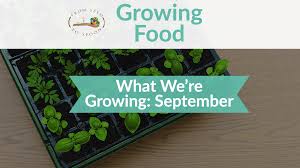 Finally, a fall cover crop can organically protect and build your soil. September What We Re Growing Planting In Our Garden From Seed To Spoon Vegetable Garden Planner Mobile App