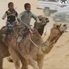 What does camel jockey mean? Https Encrypted Tbn0 Gstatic Com Images Q Tbn And9gcqxkvnjj2 Yobkk9nnooacddj9idmuvf9xorm8m6fe462a8yxfq Usqp Cau