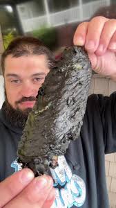 Barnyard Bbq Fordham Halloween