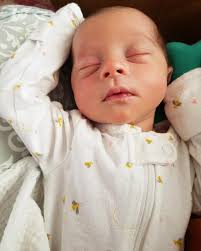 The Well Rested Club added a new...