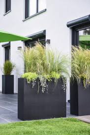 Pflanzkubel Als Sichtschutz Auf Terrasse Mit Unserem Blumenkubel Elemento Lasst Sich Ein Ausgezeichneter Sichtsch Backyard Modern Garden Terrace Garden Design