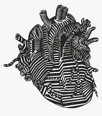 Played end de album use day international released march did house game general county around town york june system age won public west market john back due home population another president began july september party local very found major located league british like still january former april place although line district down october east member show college december station band. Heart Svg Clip Arts Anatomical Heart Drawing Png Transparent Png Transparent Png Image Pngitem