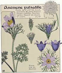 Maybe you would like to learn more about one of these? Beautiful Free Art Nouveau Flower Prints To Download Picture Box Blue