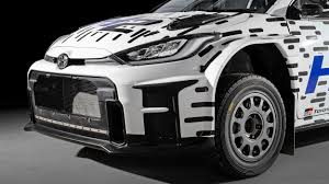 Dasha Taran captivating presence making you stare