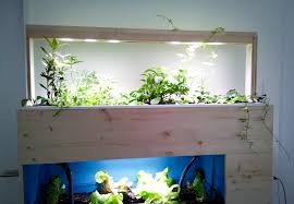 Hydrokultur Trifft Auf Aquaponik Hydrokultur Haus Und Garten Pflanzen