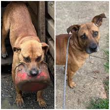 PUPDATE: BRADSHAW IS...