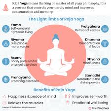 Yoga is not about getting rid of the negative by controlling your mind and your environment. Know All Elements Of Raja Yoga A Spiritual Practice Themindfool