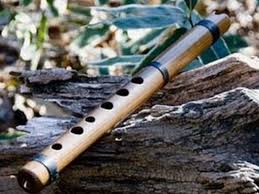 その他の はじめてのケーナ By 清水 康之 ストアカ