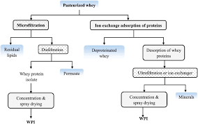 cheese whey a potential resource to transform into