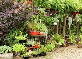 Leider ist auch unsere veranstaltung von den aktuellen ereignissen betroffen: Am Wochenende Offene Gartenpforte Essen Steele