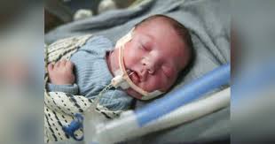 Obituary for Brooks Lee Alexander