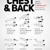 Torso spasms can sometimes be caused by simple issues like overextension of the muscles during a workout, injury to the chest wall as a result of exercise, or dehydration. 1