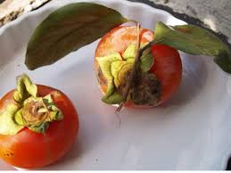 Mon Chutney De Kaki Recette Ptitchef Recette Recette Kaki Recette Chutney Chutney