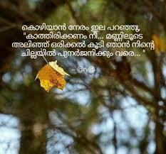 पृथ्वी एक बच्चे की तरह है जिस कविताएँ अच्छी तरह से याद हैं. Environment Day Quotes In Malayalam Master Trick