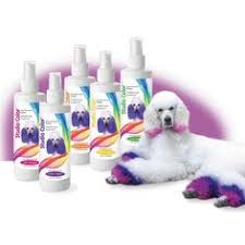 Dog hair dye is the hottest trend in pet grooming, with a little creativity you dog grooming styles dog grooming tips poodle grooming grooming salon organic dog food dog haircuts dog hairstyles poodle cuts creative grooming. 18 Hair Of The Dog Ideas Creative Grooming Dog Grooming Dog Hair