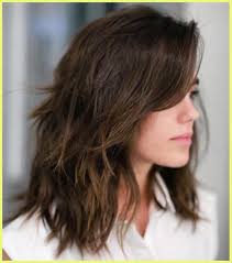 Medium length hairstyles for every guy and occasion. Medium Layered Haircuts With Bangs 150802 50 Best Medium Length Layered Haircuts In 2019 Hair Adviser Tutorials