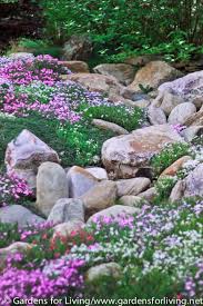 Pin On Garden Design