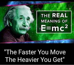 What is the scientific name of a frog?