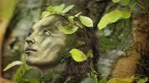 Relaxing Celtic Music Called Quot Dance Of Life Quot By Soothing Relaxation I Produce Relaxing Music Fantasy Musi Celtic Music Relaxing Music Flute Music