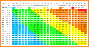 printable bmi chart room surf com