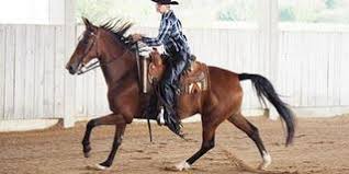 Check out our tennessee walker selection for the very best in unique or custom, handmade pieces from our shops. Galloway Star Ranch Tennessee Walker Die Bequemste Art Zu Reiten