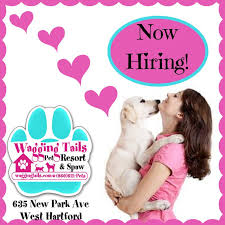 Wagging tails is the top dog boarding & grooming facility in wolcott, southington, & cheshire ct area! Krista Lofquist Owner Top Dog Wagging Tails Linkedin