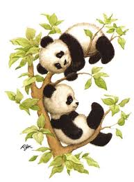 Panda Express Recipes Panda Tattoo Panda Bear Panda Cute Panda Artwork Panda Drawing Baby Panda Panda Pictures Endangered An Panda Art Panda Drawing Panda Bear