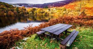 Table In Nature 4k Ultra Hd Wallpaper Landscape Wallpaper Picnic Bench Nature Wallpaper