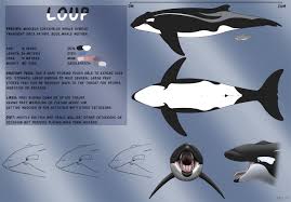 Sei fortunato, le hai trovate. A New Whaleca Around By Tasuric By Dosfin Fur Affinity Dot Net