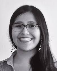 FIS-NACHWUCHSGRUPPE VON ZEW UND MZES