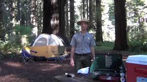 Maybe you would like to learn more about one of these? Prairie Creek Redwoods Sp