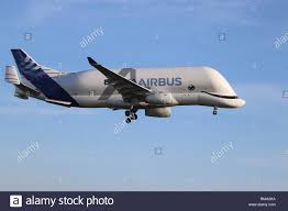 Packed in a window presentation box.size: Airbus Beluga Xl Hawarden Airport Deeside Wales Uk Donnerstag 14 Februar 2019 Der Neue Airbus Super Transporter Beluga Xl Landet Auf Hawarden Airport North Wales Zum Ersten Mal Credit Mike Clarke Alamy Leben