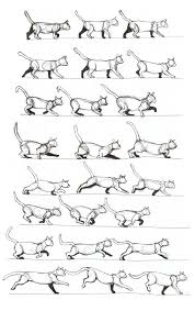Cat Running Drawing Reference And Sketches For Artists Animation reference cat run kitten photos cat pose cat colors cat photography ginger cats cat drawing. cat running drawing reference and
