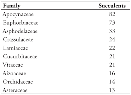 Image result for Aeollanthus neglectus