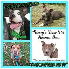 Maybe you would like to learn more about one of these? Dog Adoptions In Cleveland Ohio