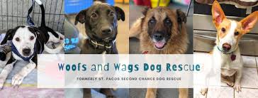 We rescue puppies and find them a forever home. Adoption Event At Petsmart Petsmart San Diego Ca May 8 2021
