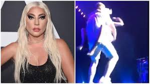 The performer's dog walker, ryan fischer, was shot once as he walked three of the singer's dogs in hollywood. Watch Lady Gaga Falls Off Stage With Fan Video Heavy Com
