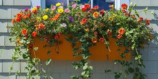 Plus, you can enjoy them both outdoors and from inside the window. Window Boxes 10 Easy Steps To Planting A Window Box
