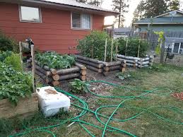 Maybe you would like to learn more about one of these? Update On The Log Cabin Style Raised Beds Post Planting Per Requests Green Beans Tomatillos And Tomatoes Gardening