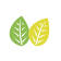 Green Positive logo