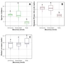 Image result for Brachystegia wangermeeana