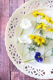 We did not find results for: Diy Pressed Flower Art On Sutton Place