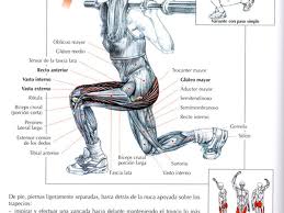 программа занятий в тренажерном зале для девушек с картинками Todos Los Musculos Y Todos Sus Ejercicios Para El Gym Trenirovka Tela Uprazhneniya Trenirovki